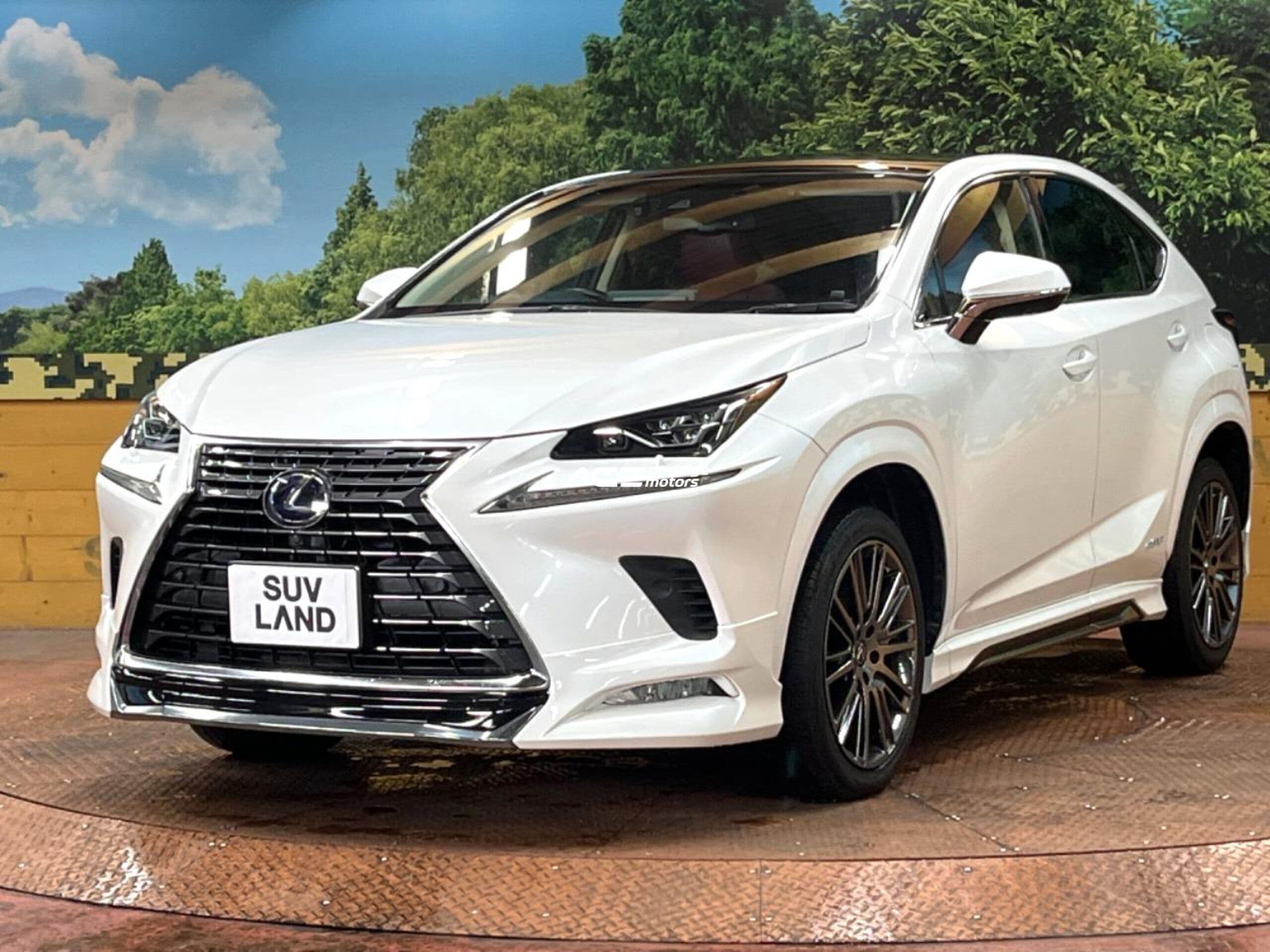 Image of Lexus NX300h YOM - 2019