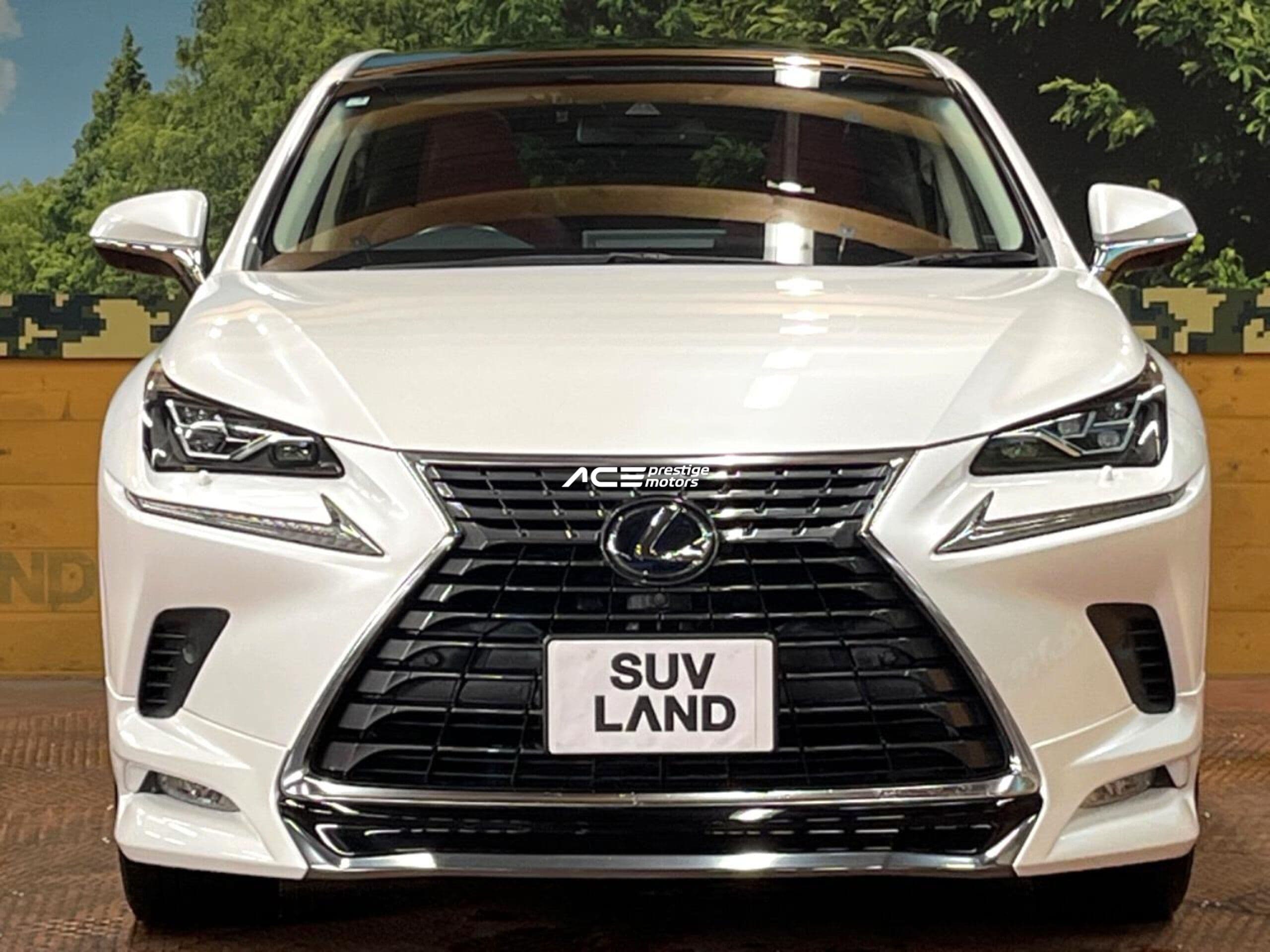 Image of Lexus NX300h YOM - 2019